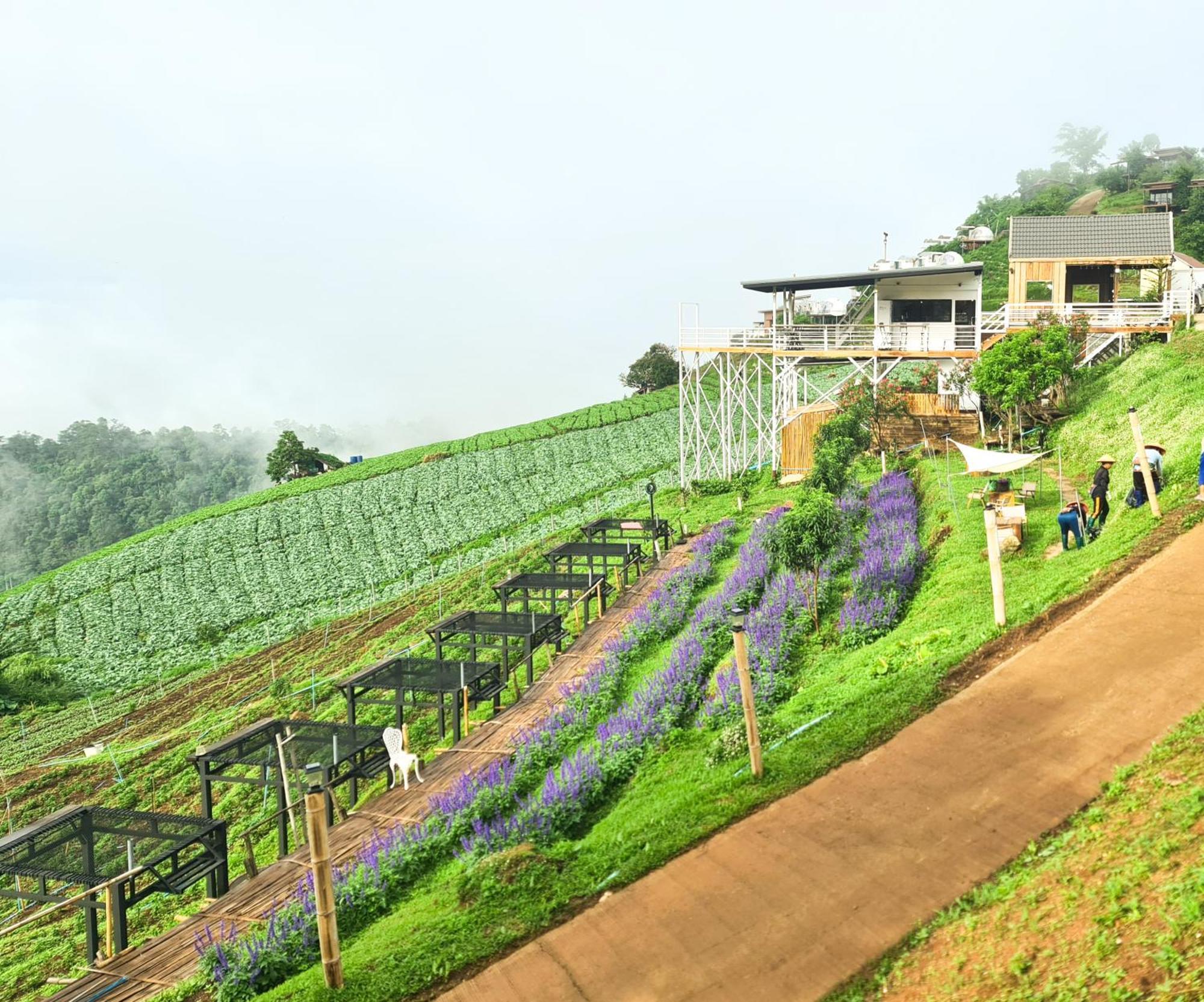 ภูวินคาเฟ่ โฮมสเตย์ Phuwin Cafe Homestay Mon Jam Exterior foto